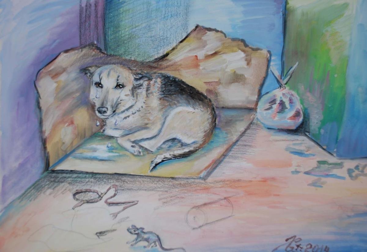 Рисование по теме бездомные животные