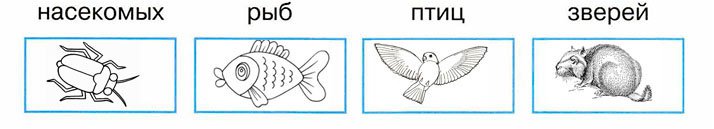 Рыбы 2 класс задания. С помощью схематических рисунков главные признаки насекомых. Главные признаки насекомых рыб птиц зверей. Схематические рисунки насекомых рыб птиц зверей. Изобрази с помощью схематических рисунков.