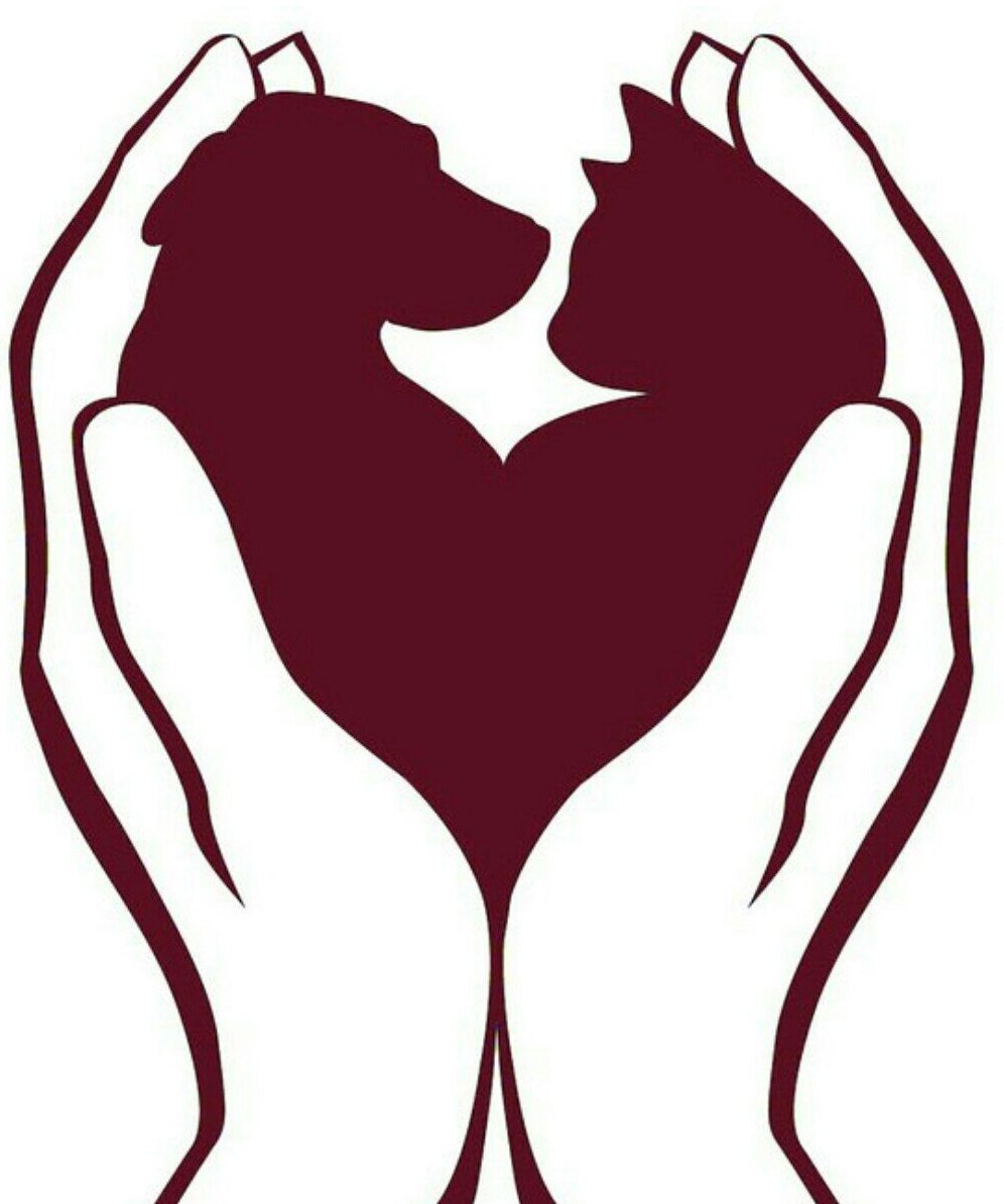 Логотип кошка и собака