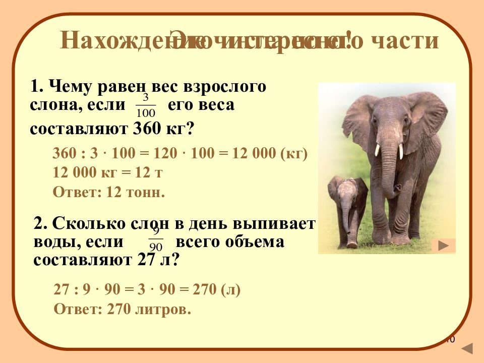 Сколько весит 5 тонн. Сколько весит слон. Вес африканского слона. Сколько весят слоны. DTC dphjckjuj ckjyf.