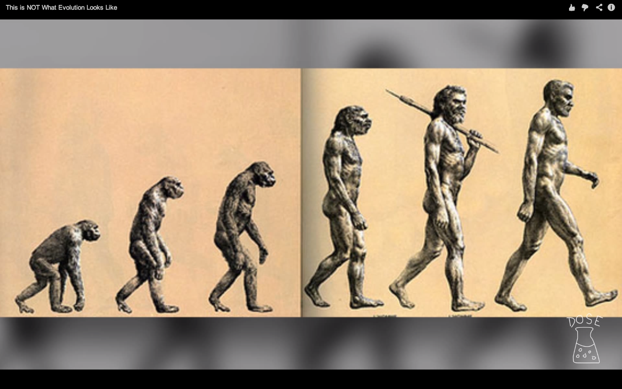 Эволюция слабые сильные. Эволюционная теория Чарльза Дарвина. Эволюция теории Чарлза Дарвина.