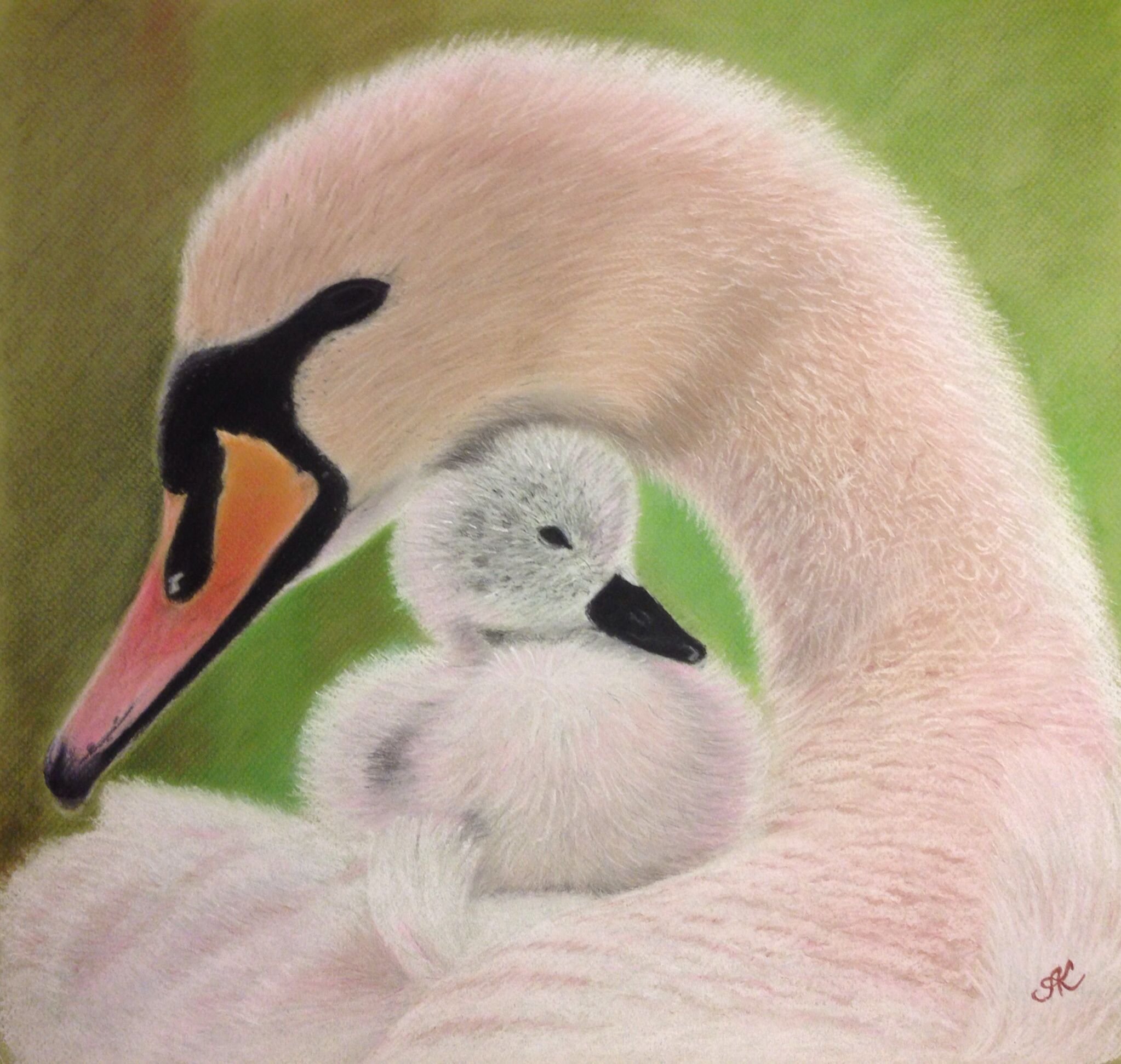 Лебедёнок с мамой
