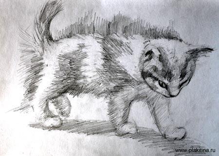 Животное штрихами