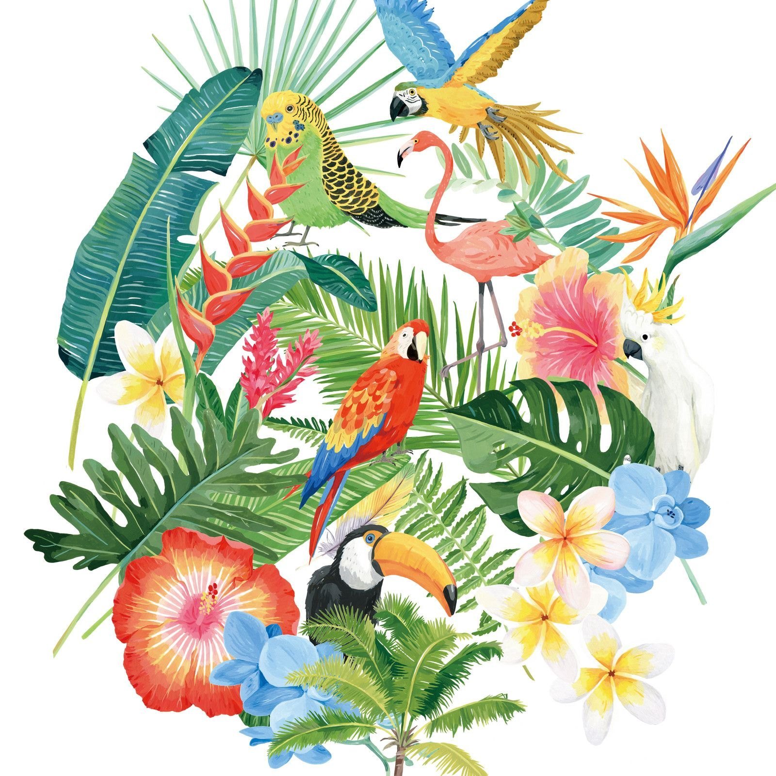 Тропические птицы и цветы