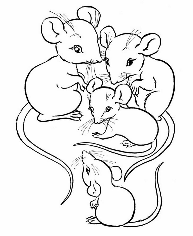 картинки рисунки мышки