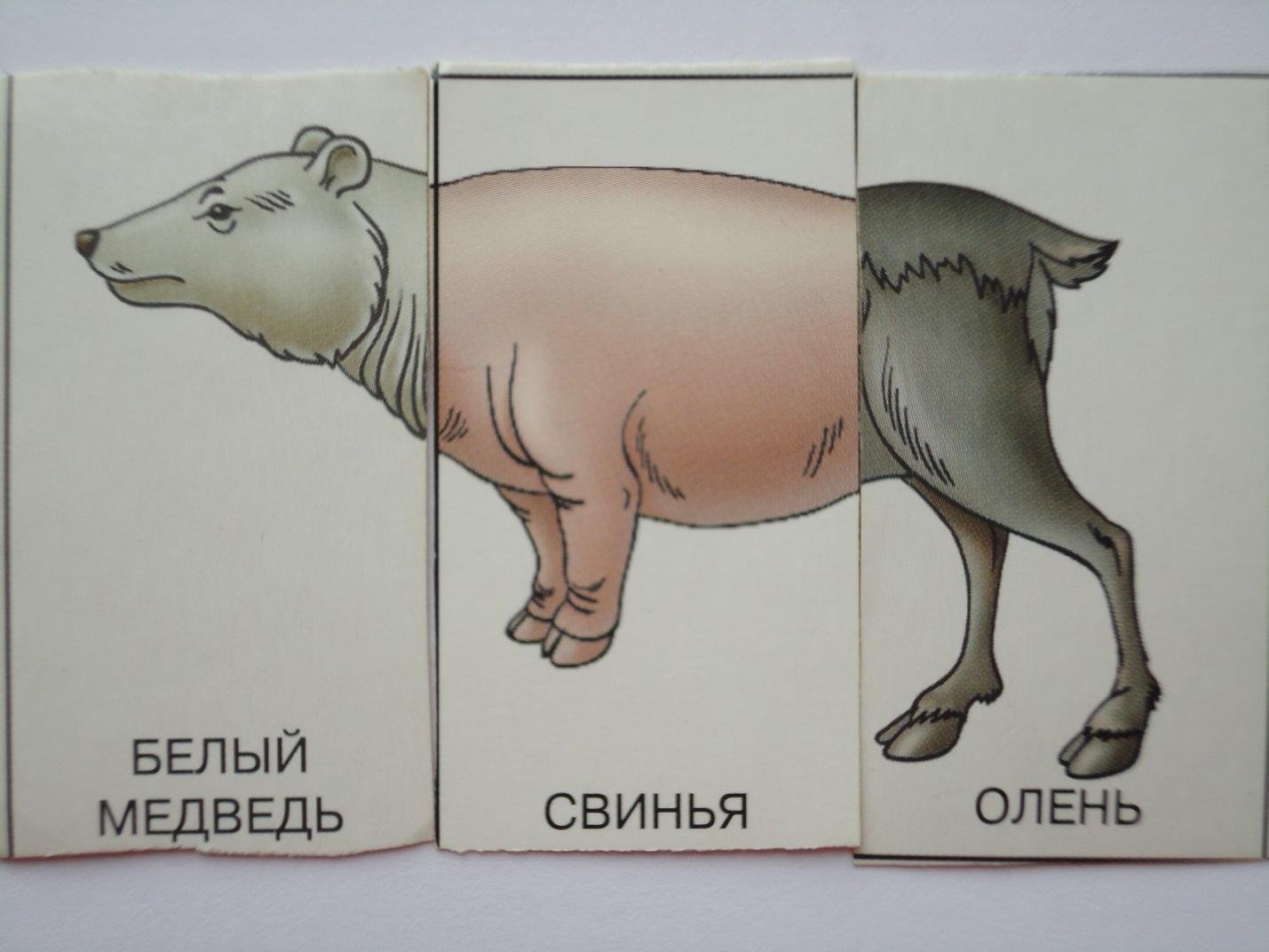 Рисунок животного состоящего из частей разных животных