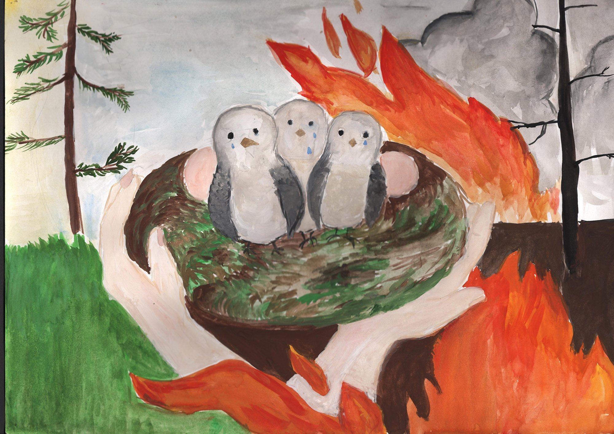 Легко и бережно. Рисунок на тему природа. Рисунок на тему Лесные пожары. Рисунок на тему защита природы. Рисунок на тему лес.