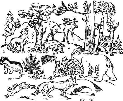 Раскраска животные в лесу для детей