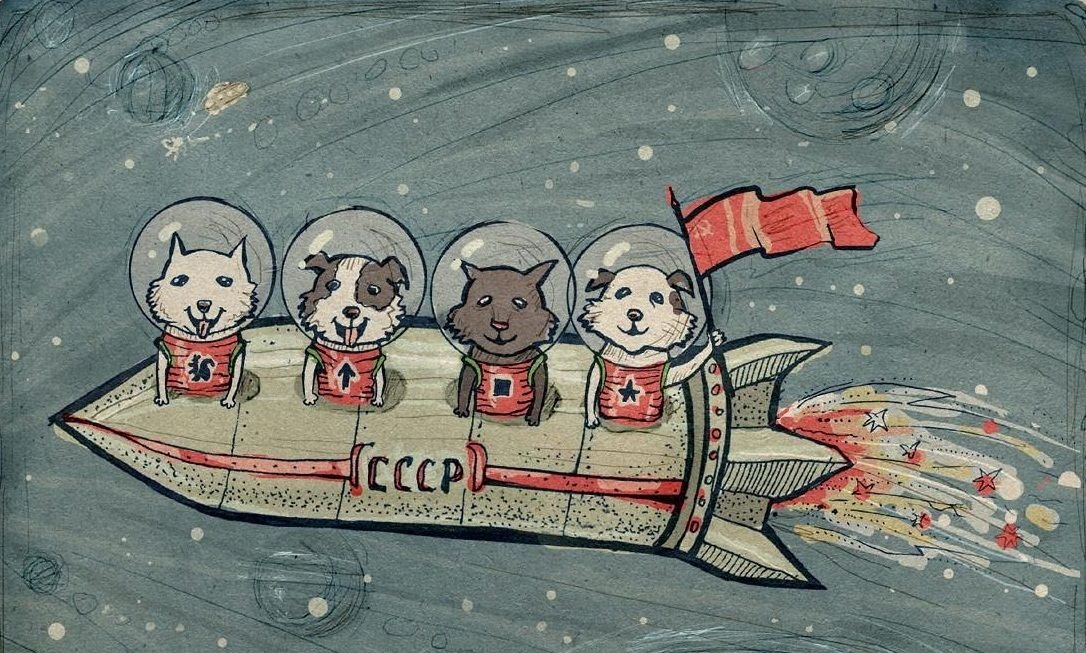 Полетели в комос. Животные в космосе для детей. Советские животные в космосе это. Открытка "космонавты". Животные в космосе рисунки.