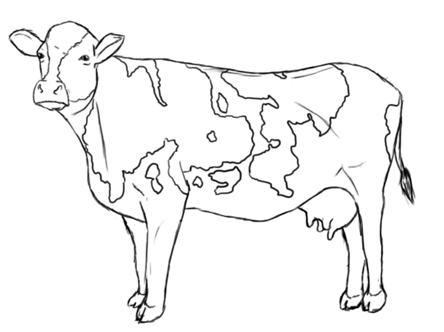 Корова эскиз