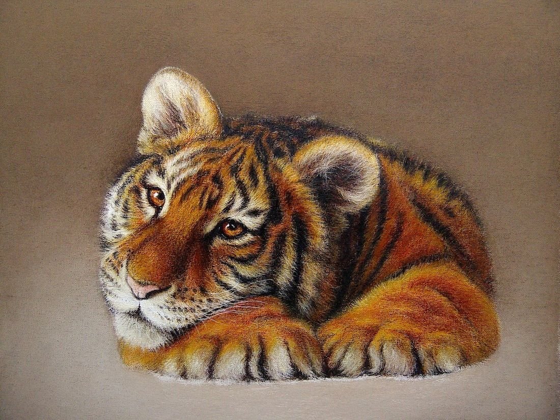 Тигр пастелью