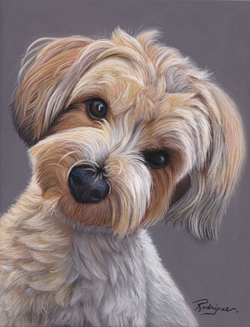 Портрет собаки пастелью