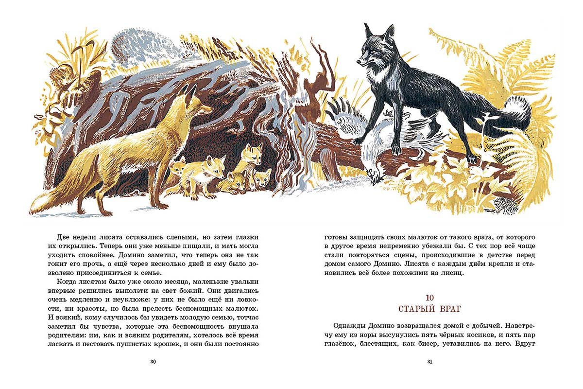 Произведения про лису. Сетон-Томпсон рассказы о животных иллюстрации. Рассказы о животных Томпсон Домино.