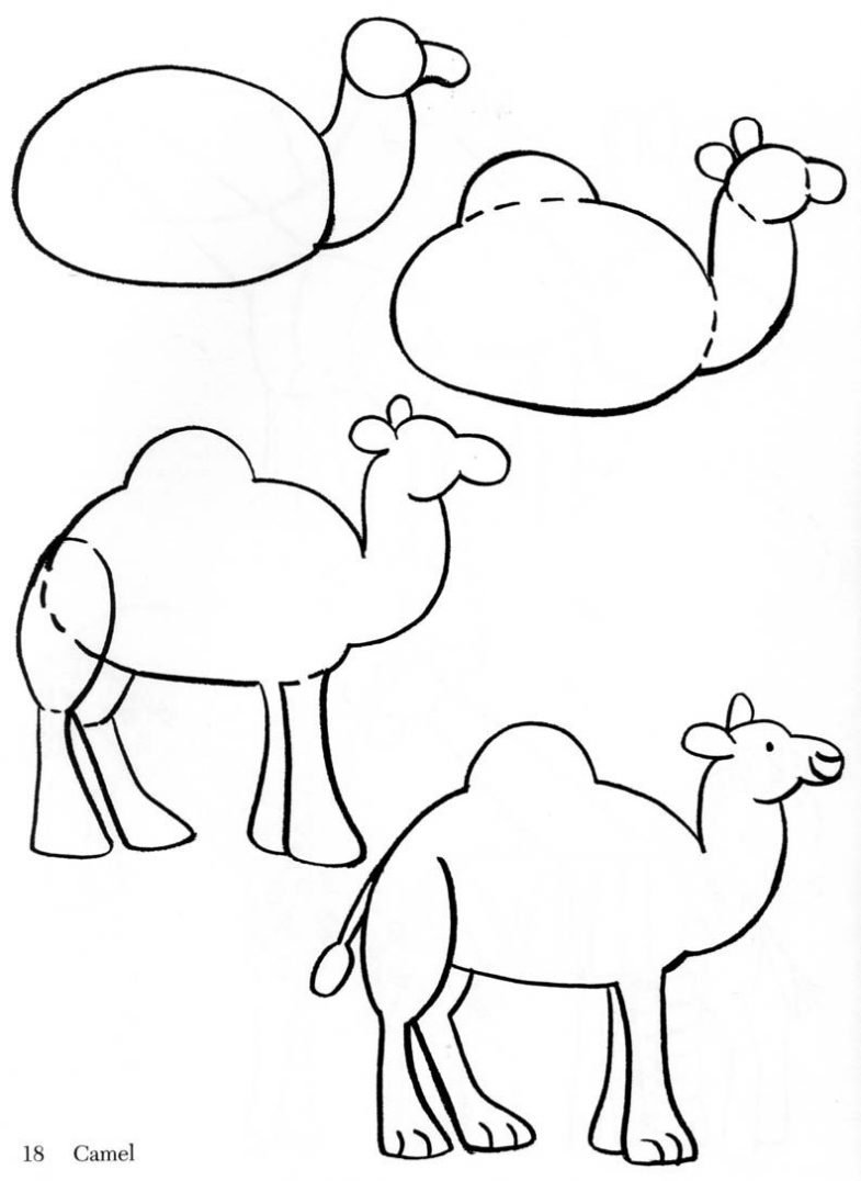Этапы рисования животных для детей