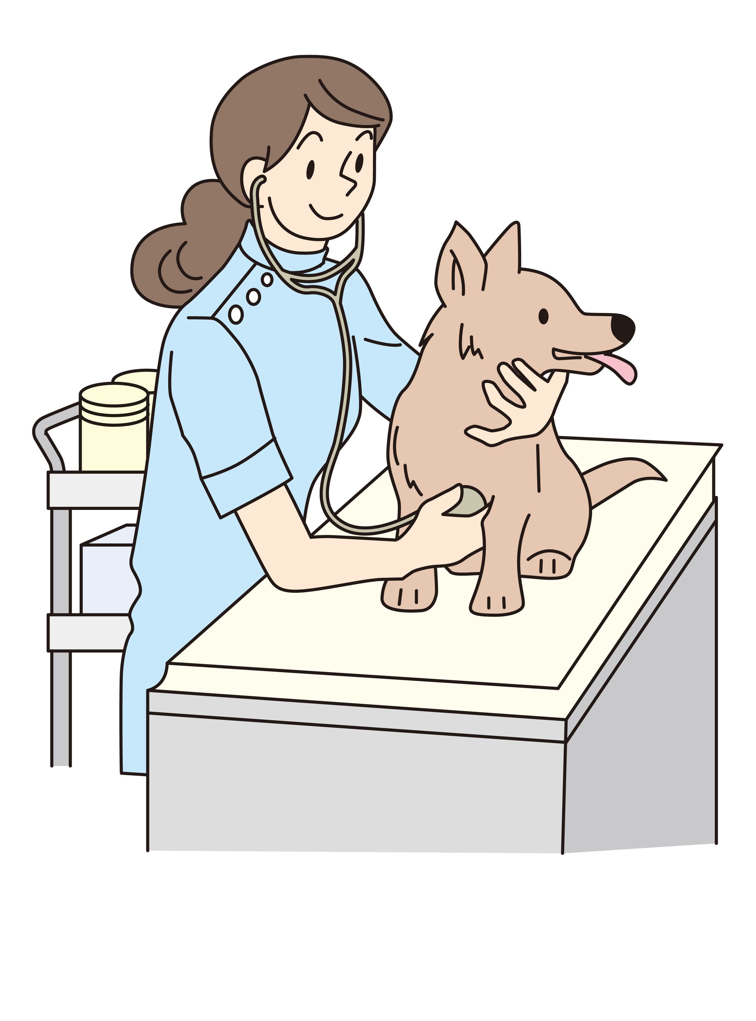 Ветеринар детский рисунок