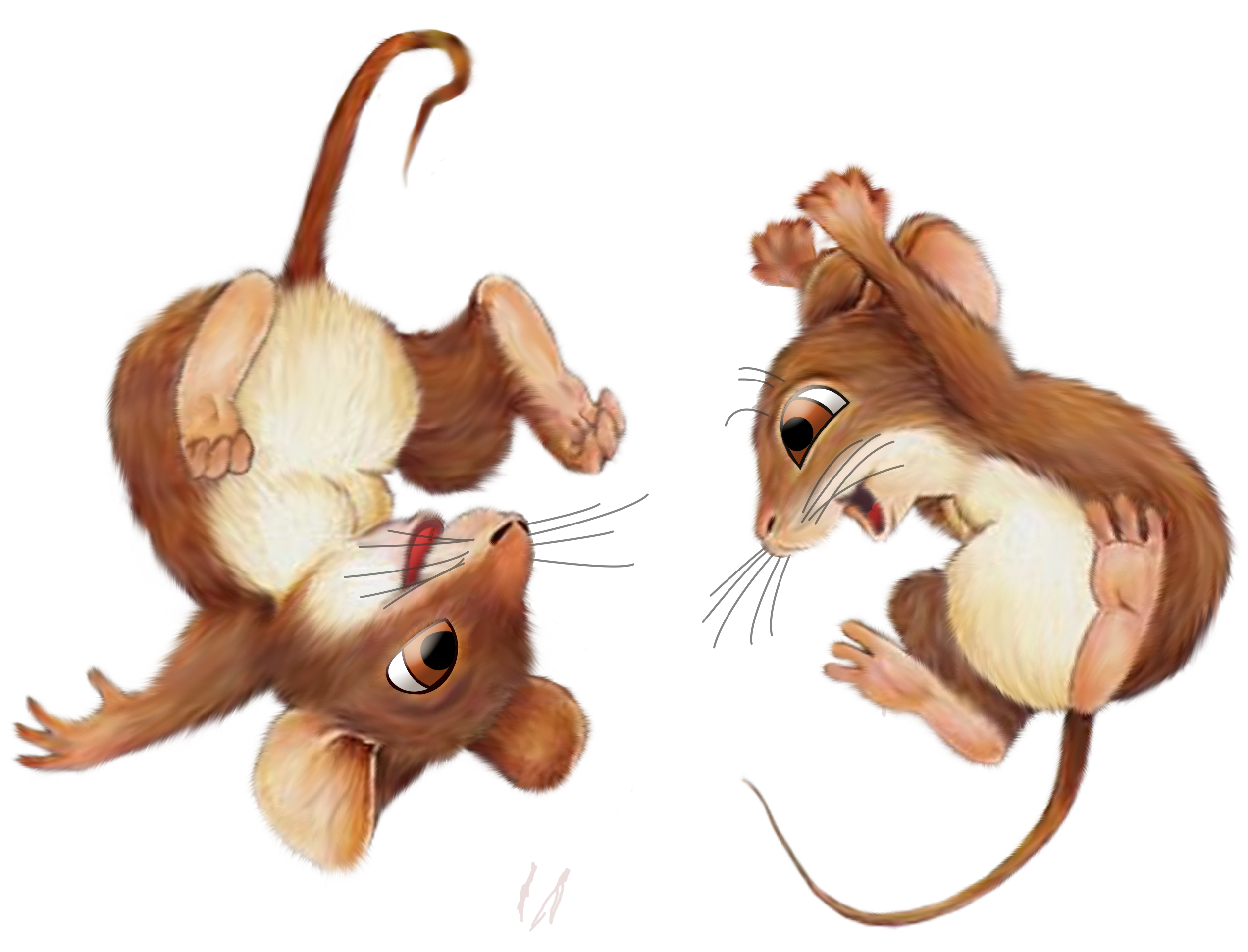 Three mouse
