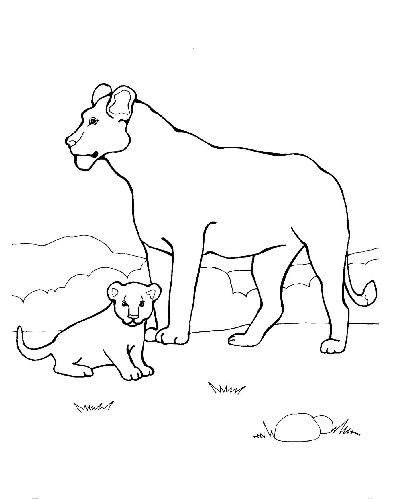 Лев львица и Львенок раскраска