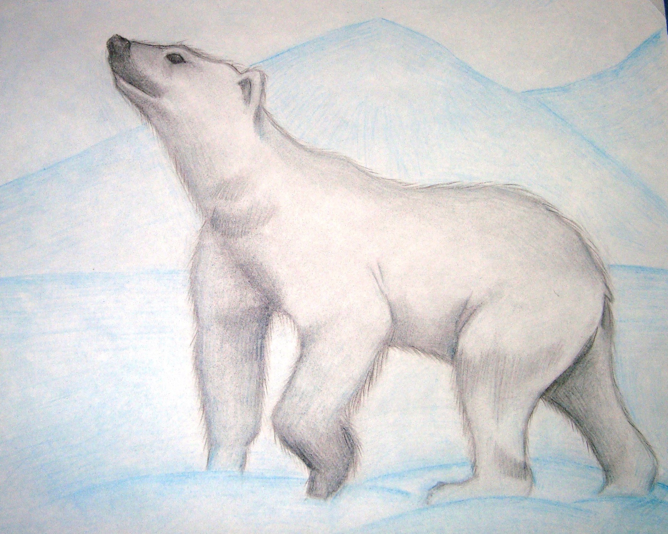Детские рисунки белого медведя