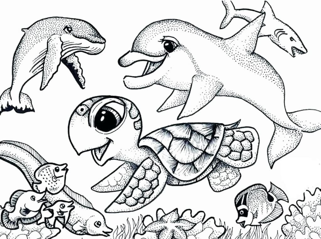Нарисовать животных океана