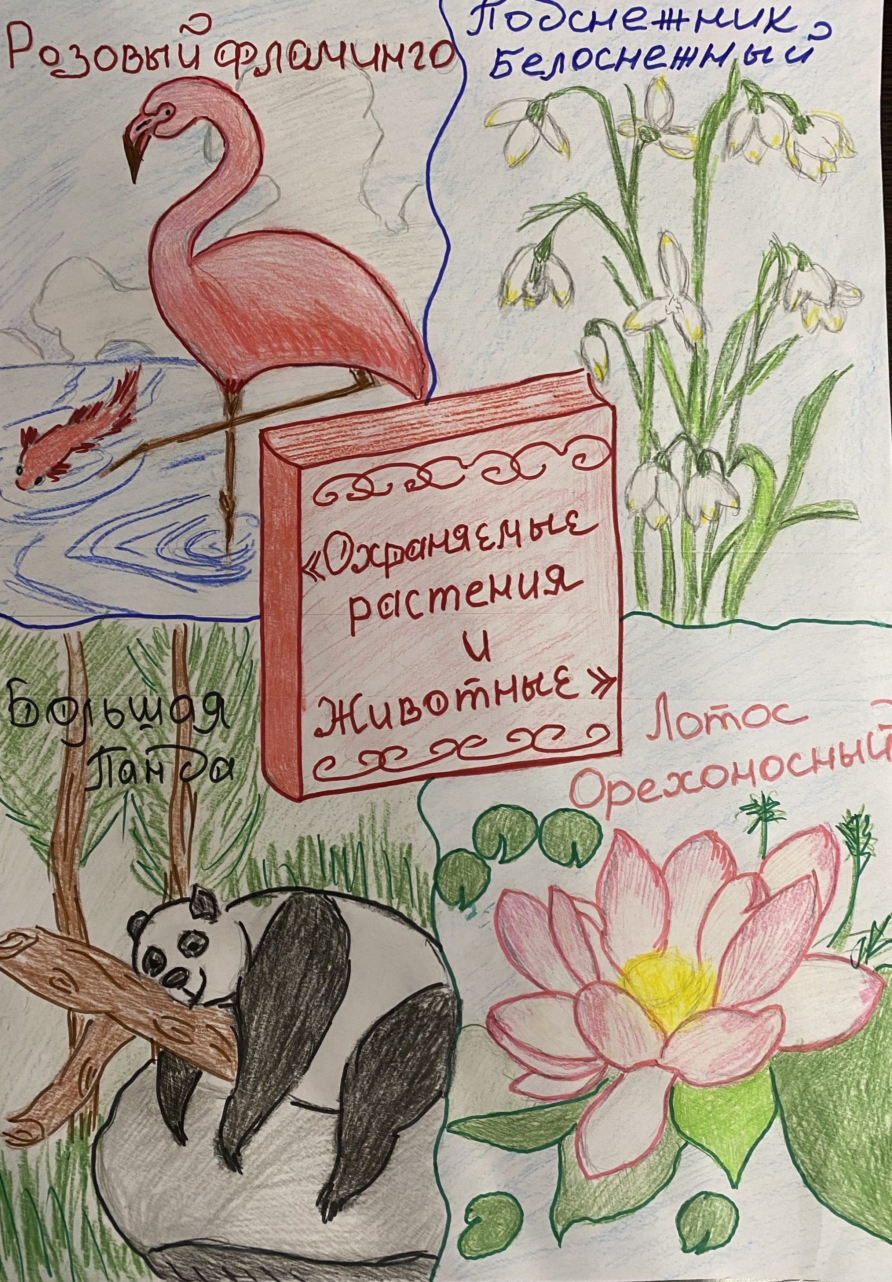 Рисунок на тему охраняемые растения и животные