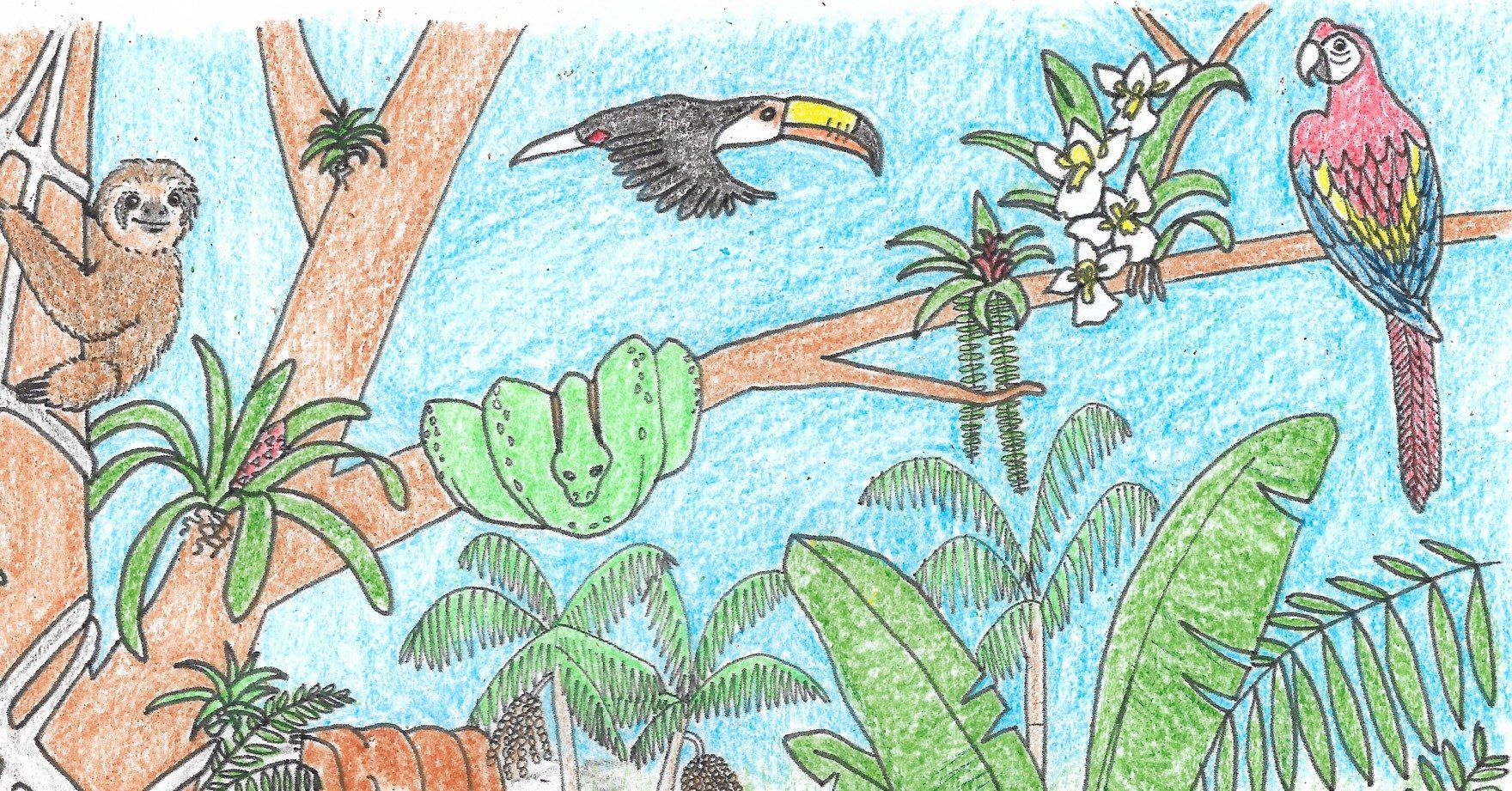 Тропические листья рисунок