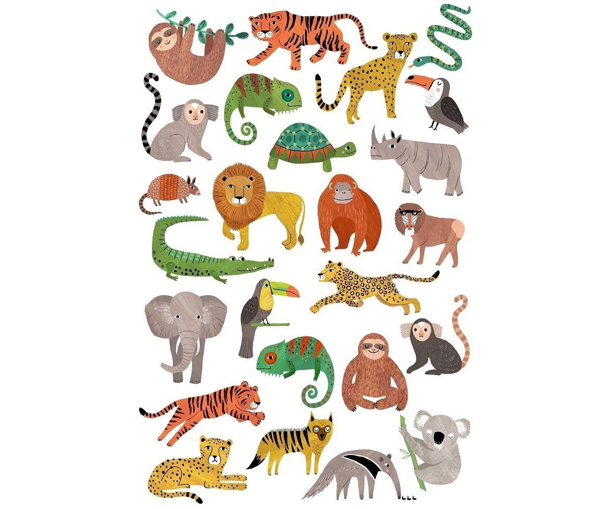 Рисунки животных для детей цветные (47 фото)