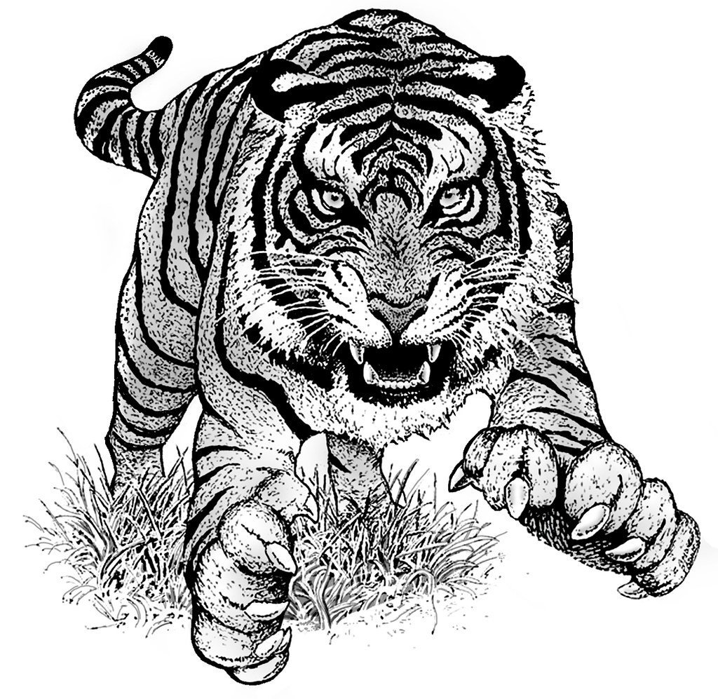 Тигр рисунок для выжигания
