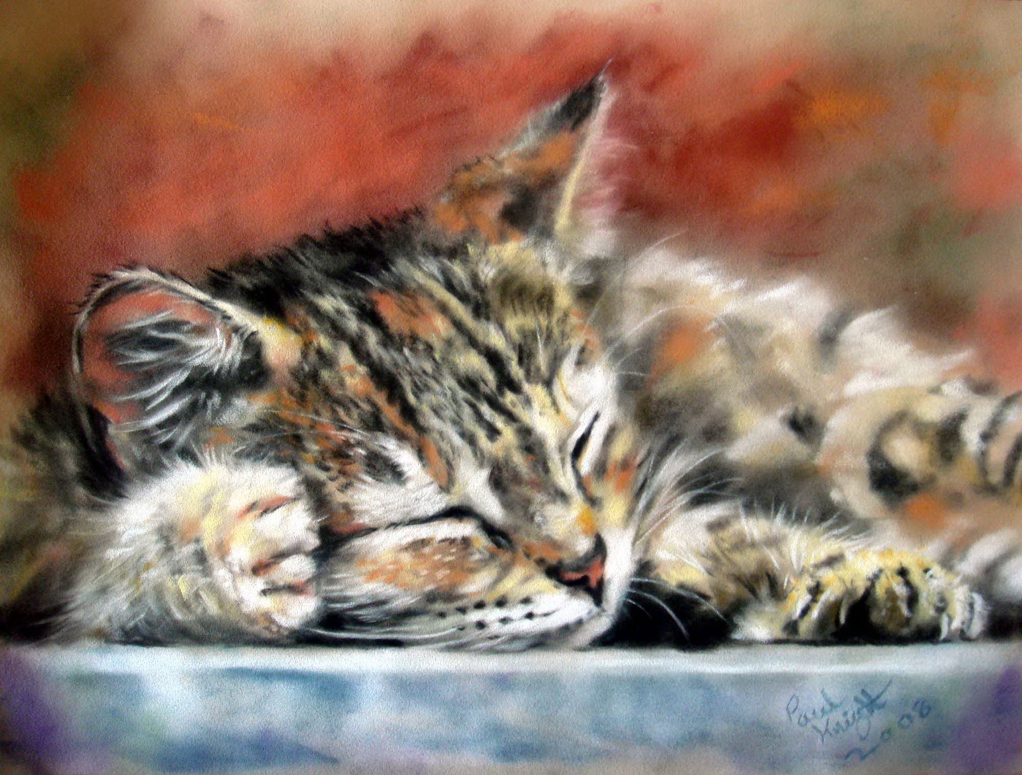 Очаровательные коты английского художника Paul Knight