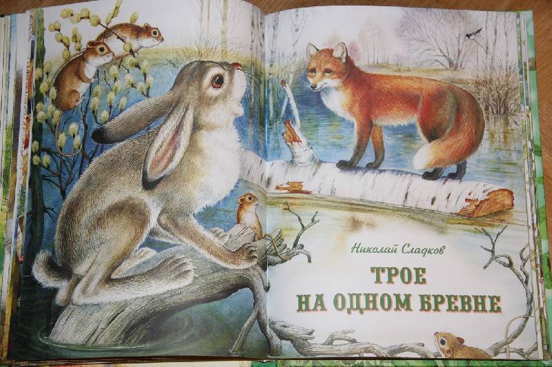 Сказки сладкова о животных