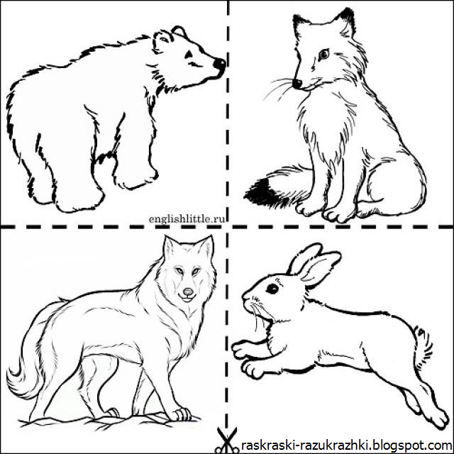 Рисунки животных для детей. Раскраска "Дикие животные". Раскраски животные для детей. Лесные животные раскраска для детей.