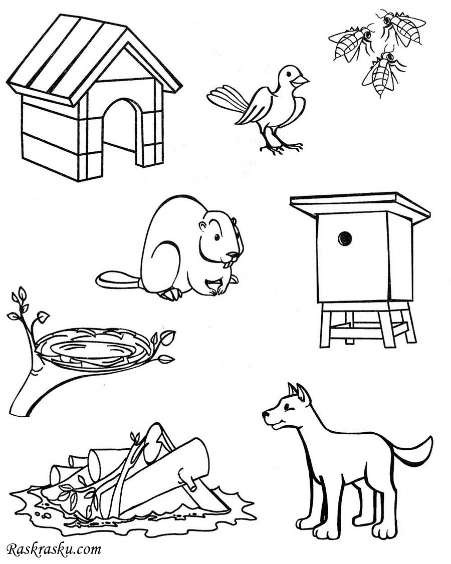 картинки животные и их домики