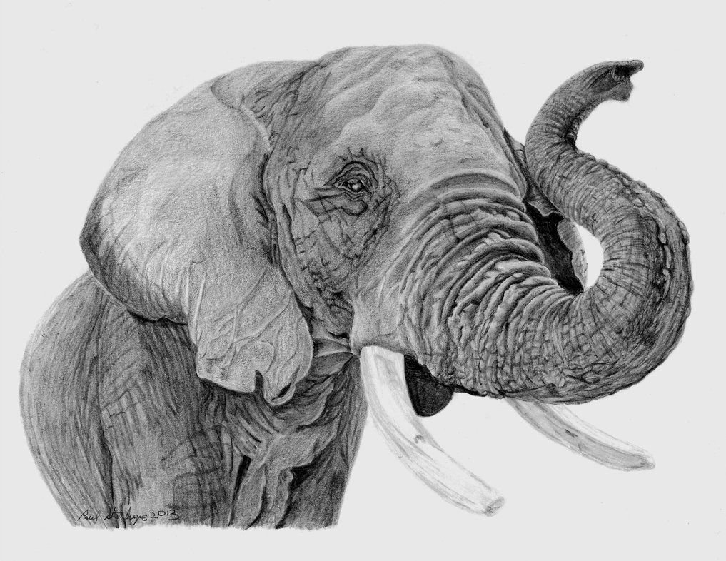 Слон карандашом