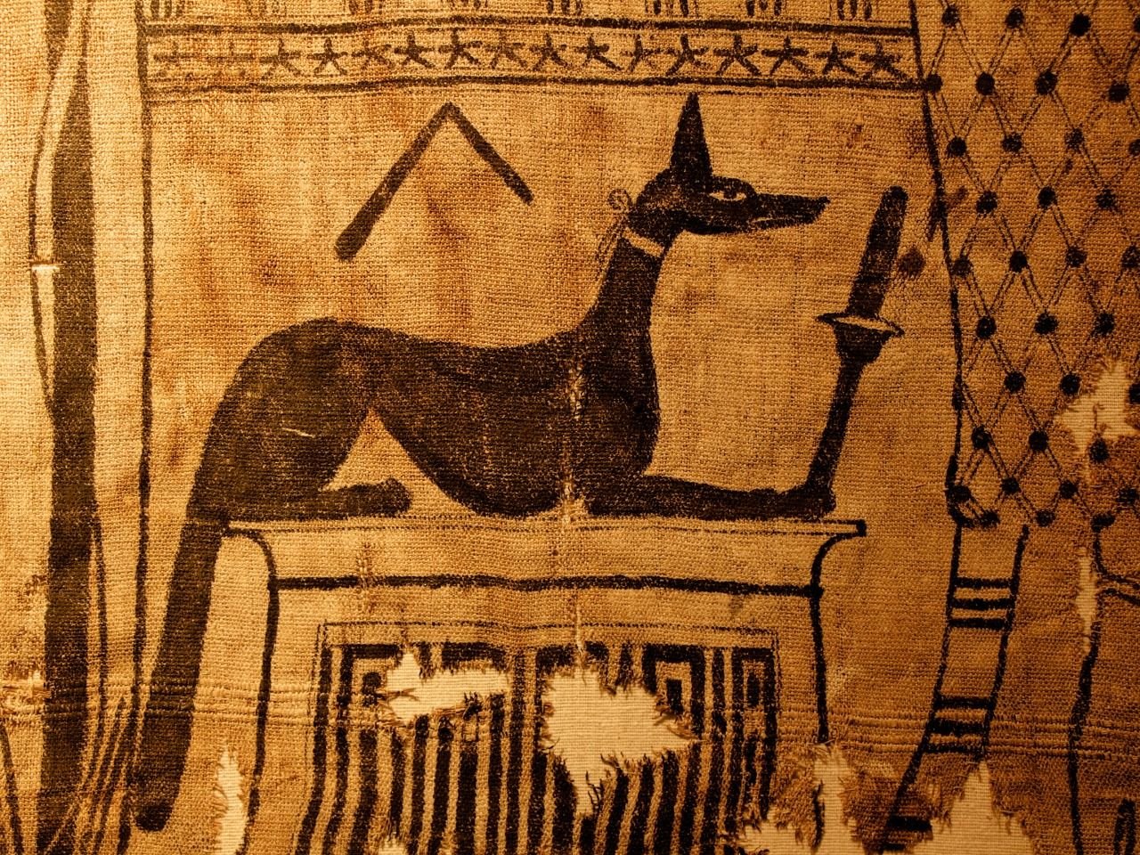 в египте животные