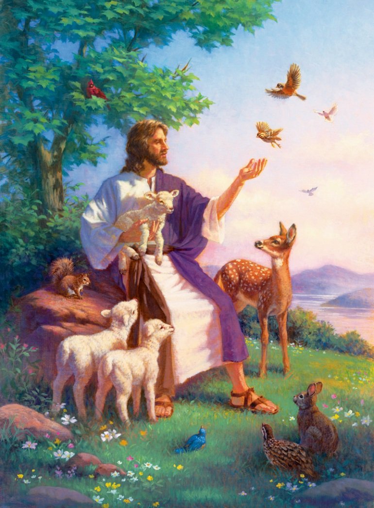 Природа создала бога. Иисус Христос с ягненком. Алмазная мозаика Иисус Христос Пастырь. Грег Олсен Иисус. Иисус Христос картины в раю.