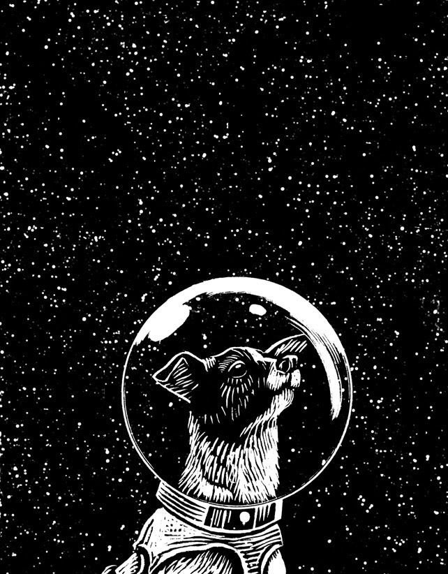 Space animals. Животные в космосе. Собака космонавт арт. Собаки в космосе. Собаки космонавты.