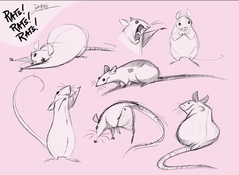 Мышь маркером. Крысы анатомия референс. Стилизованная крыса. Зарисовки крыс. Мышь референс.