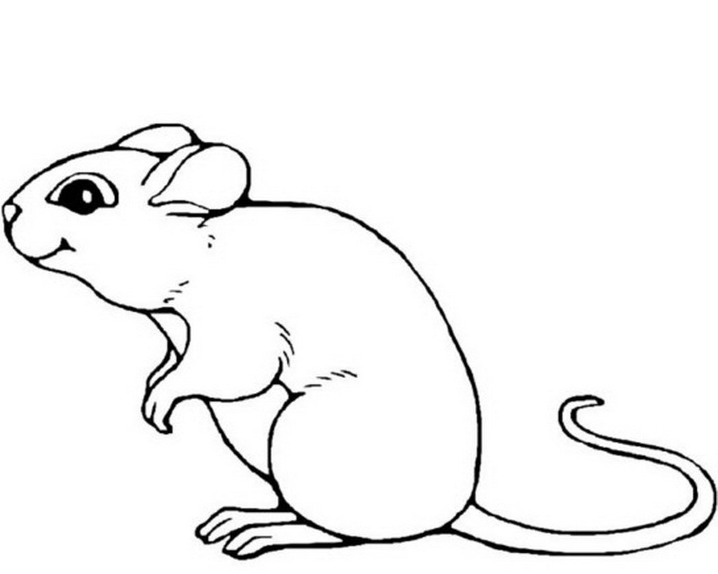Раскраска мышь распечатать. Раскраска мышка. Мышь раскраска для детей. Раскраска мышонок. Маленькая мышка раскраска.