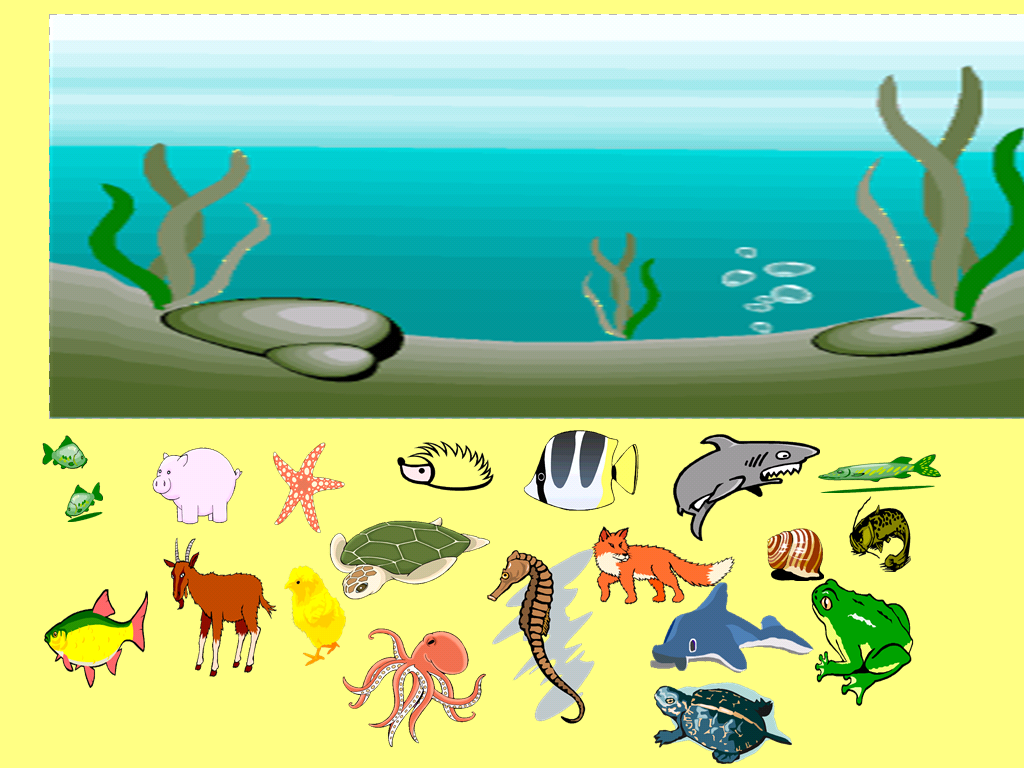 Обитатели океана конспект. Водные обитатели. Водные животные для детей. Водные обитатели для дошкольников. Обитатели водоемов задания для дошкольников.