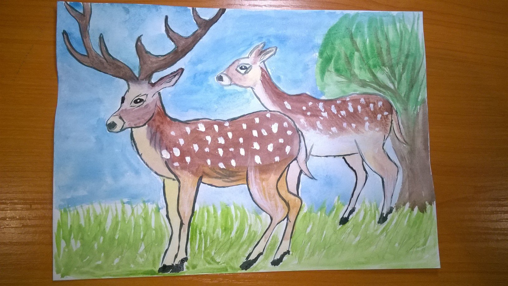 Рисунок животного из красной книги пятнистый олень