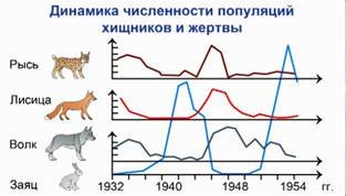 Динамика популяций животного мира
