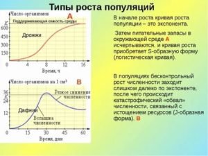 J образная кривая роста популяции