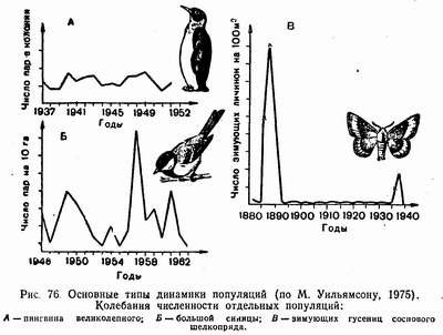 Динамика численности популяции Сукачев