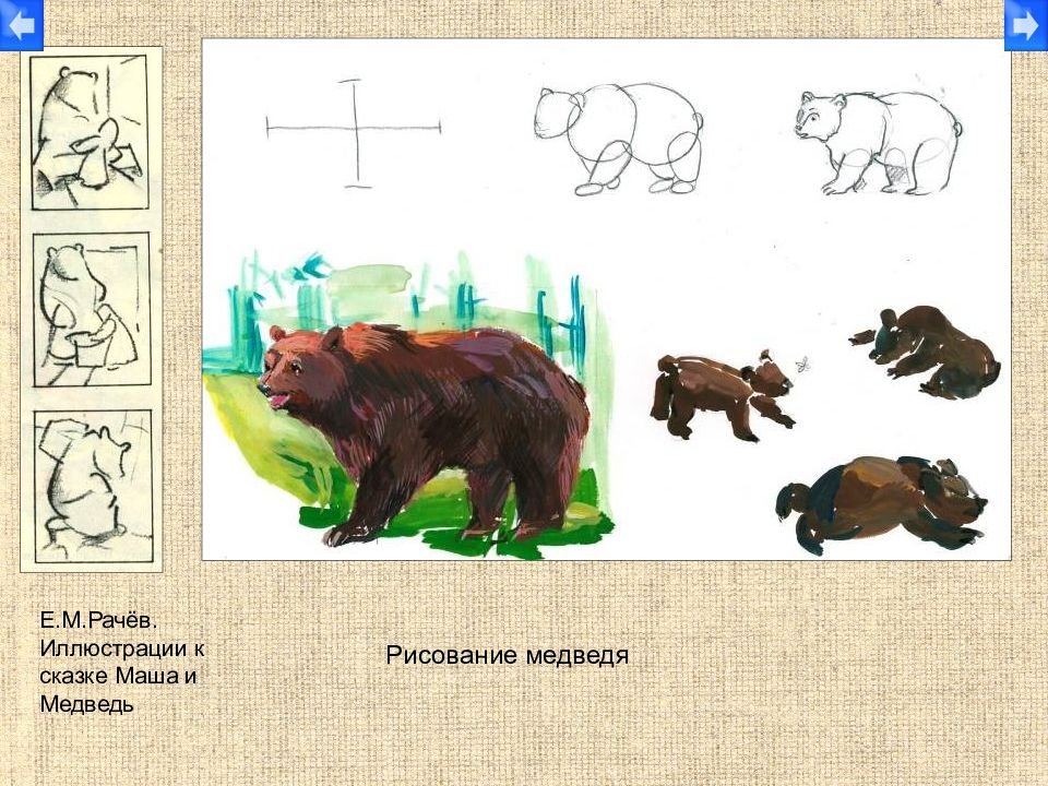 Изобразить характер животного. Медведь рисунок. Уроки рисования медведя. Рисование животных для детей. Этапы изображения животных.