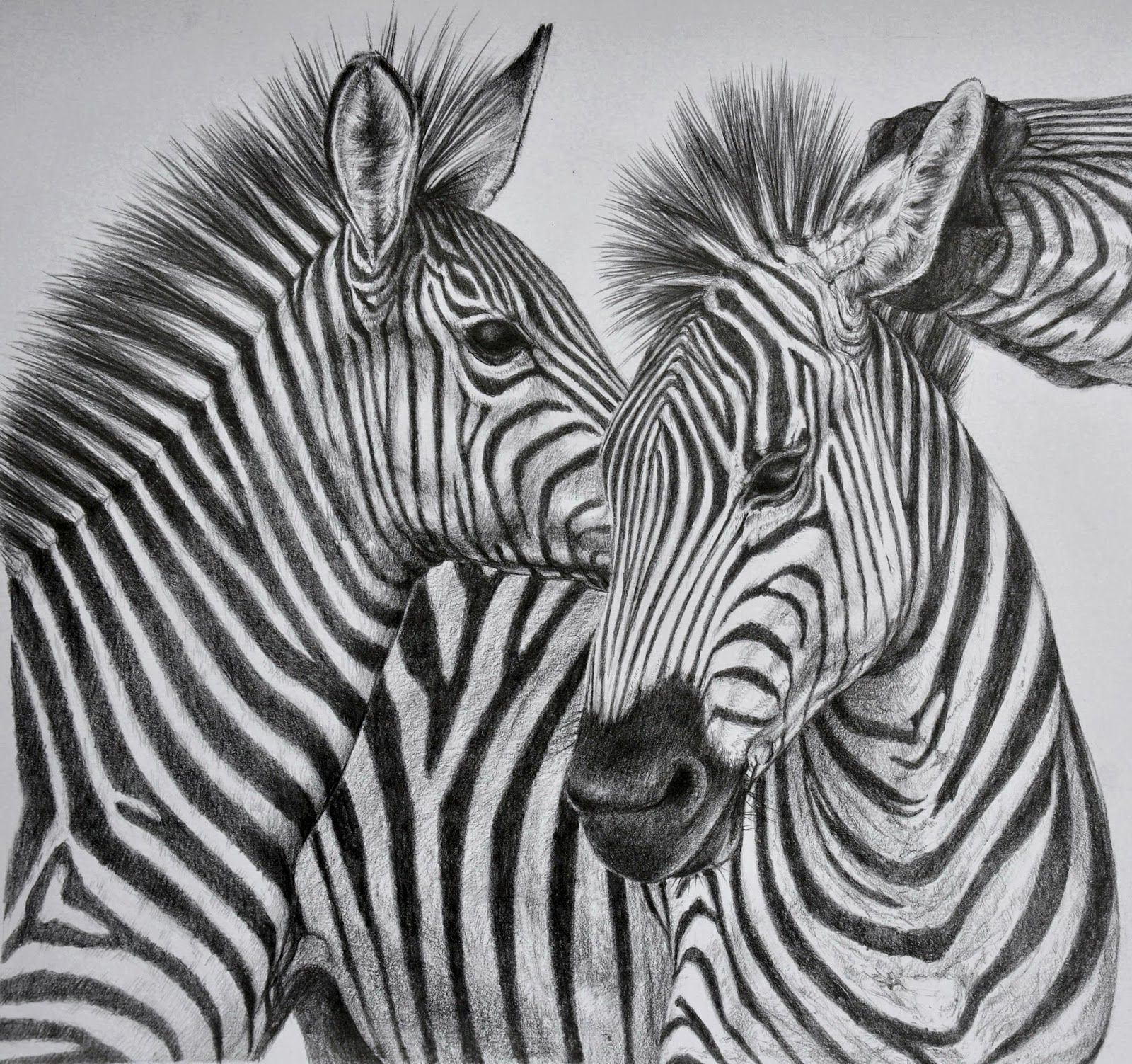 Графические рисунки животных простым карандашом