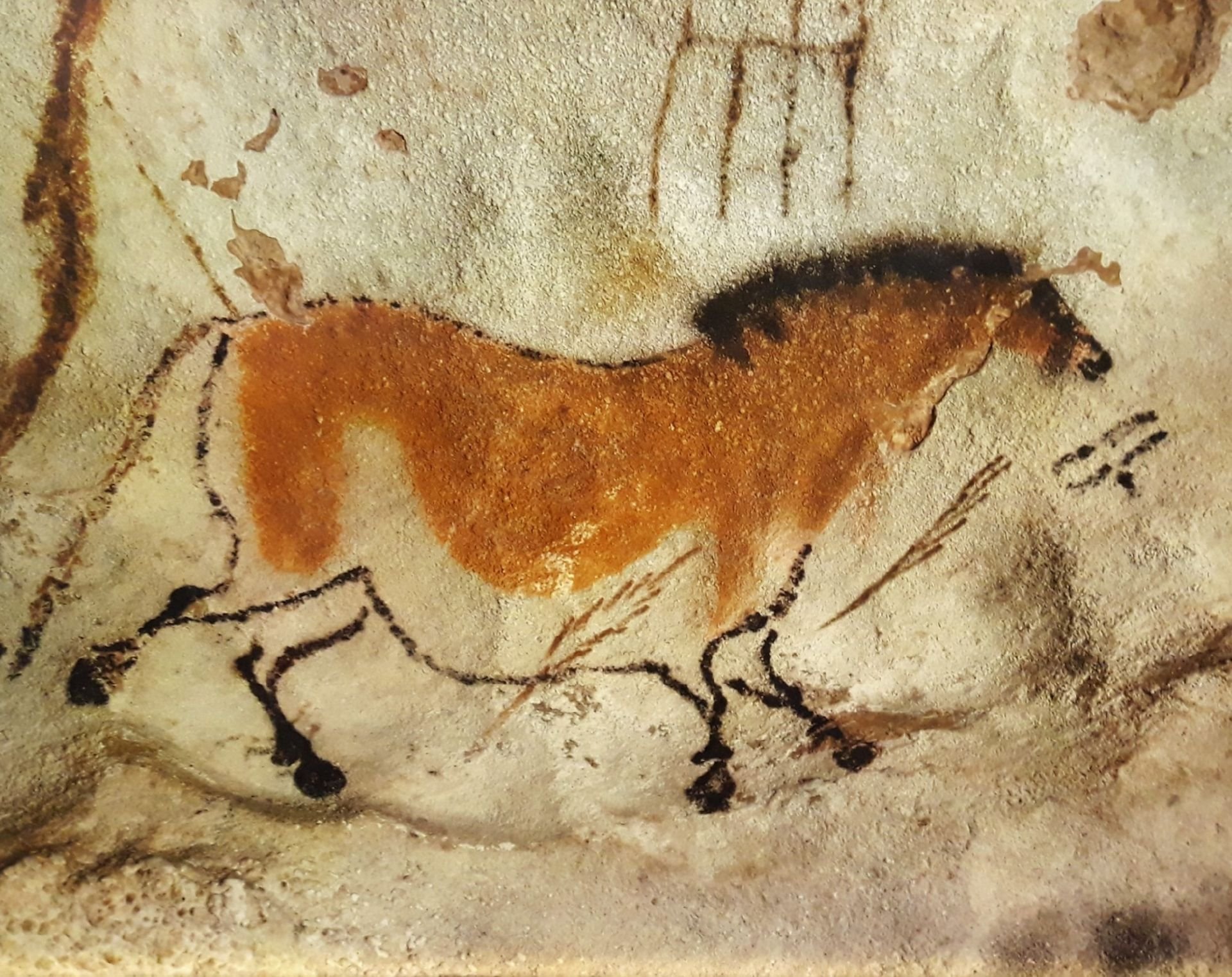 Краски известны человечеству с первобытных времен. Первобытное искусство пещера Ласко. Альтамира и Ласко. Первобытная культура пещера Ласко.