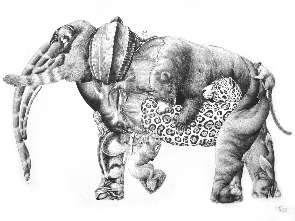 Рисунки животных. Рисунки карандашом животные. Рисунки необычных животных. Необычные рисунки карандашом.