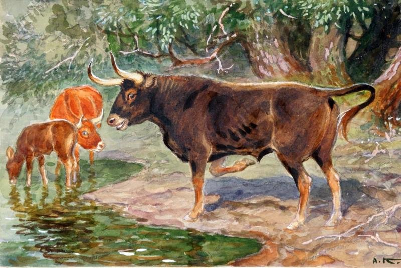 Корова в древности