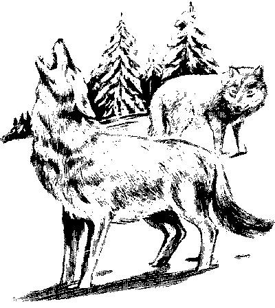 Векторное изображение волка в лесу