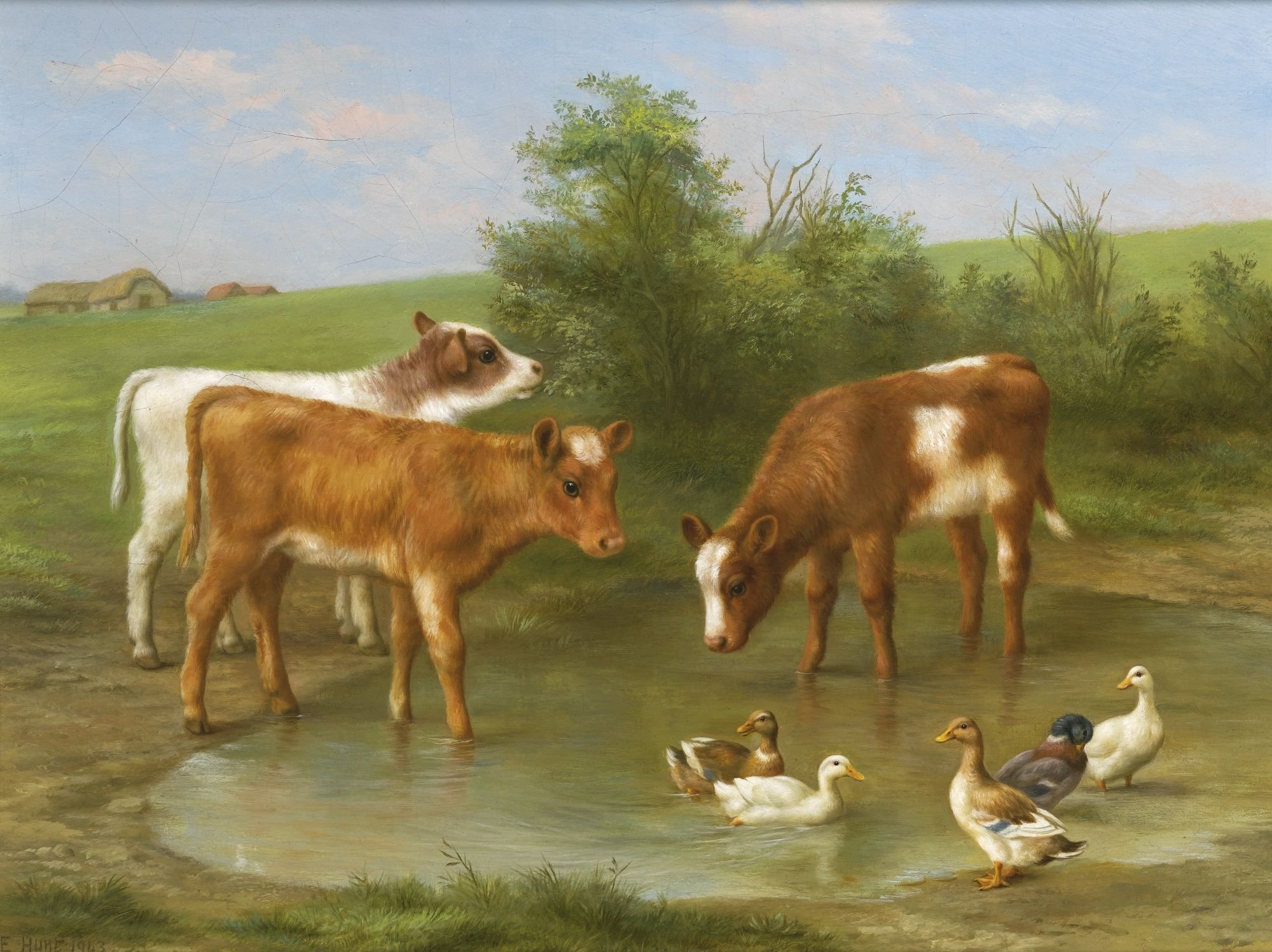 Лошади коровы и куры