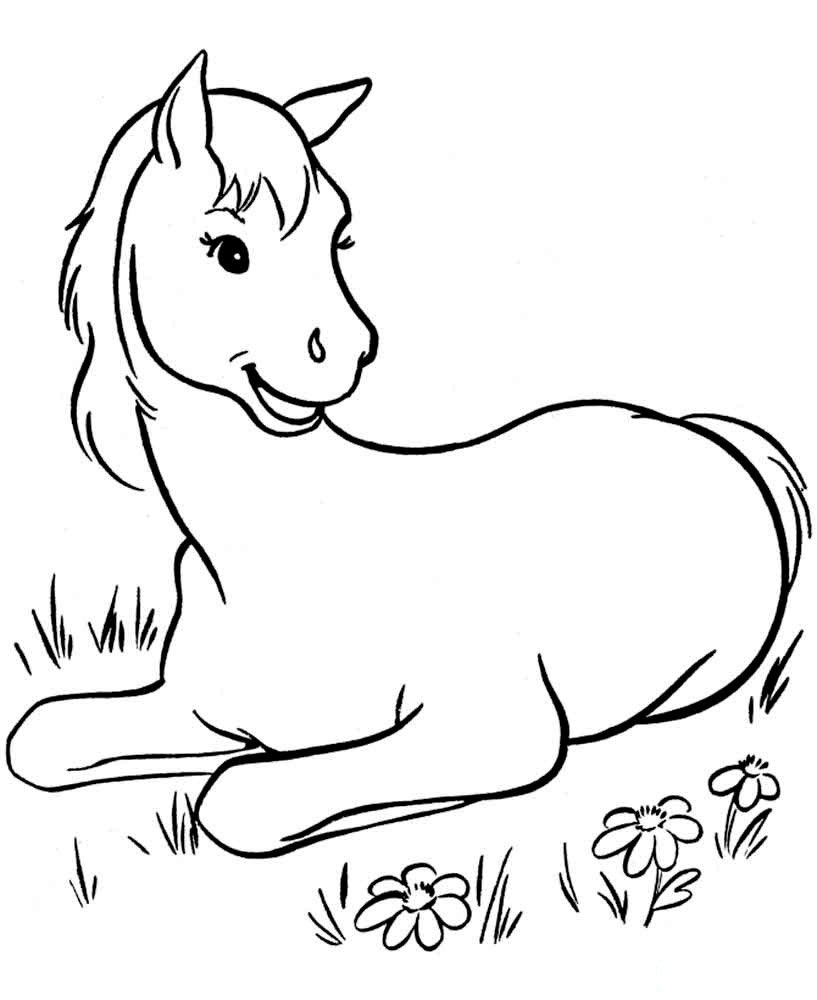 Лошадка раскраска для детей
